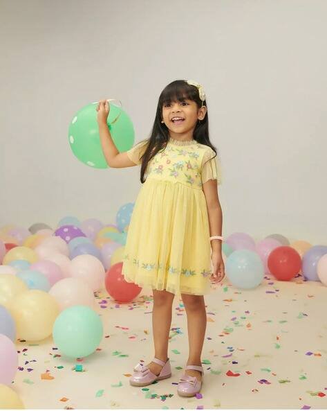 Somersault Embroidered Skater Dress