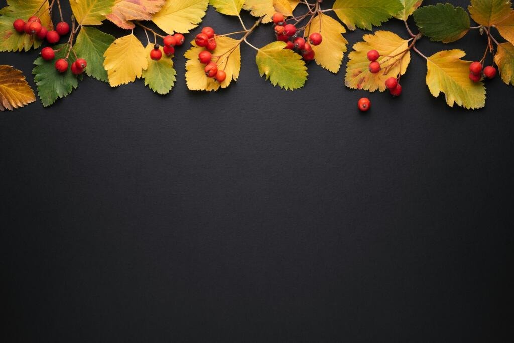 Autumn background for promotions and discounts