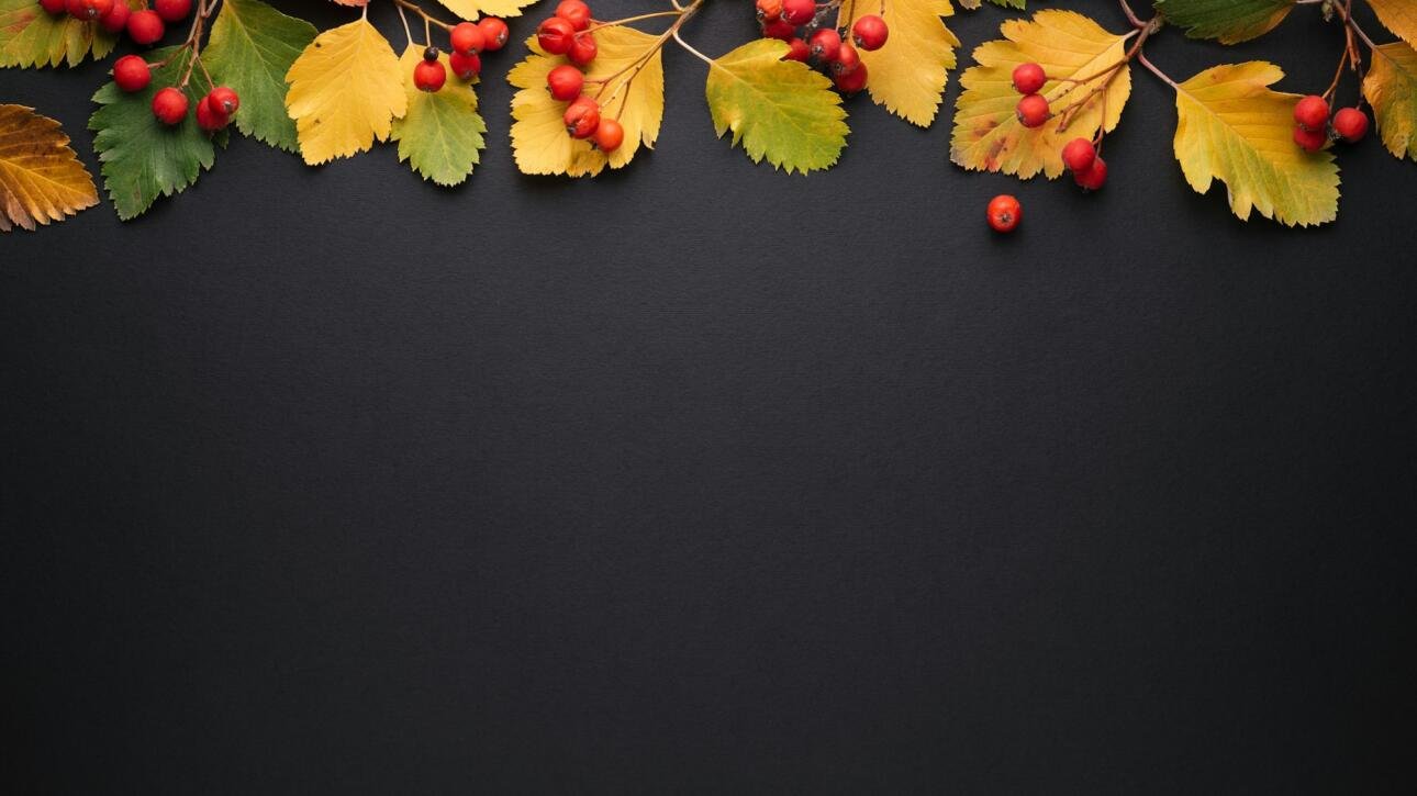 Autumn background for promotions and discounts