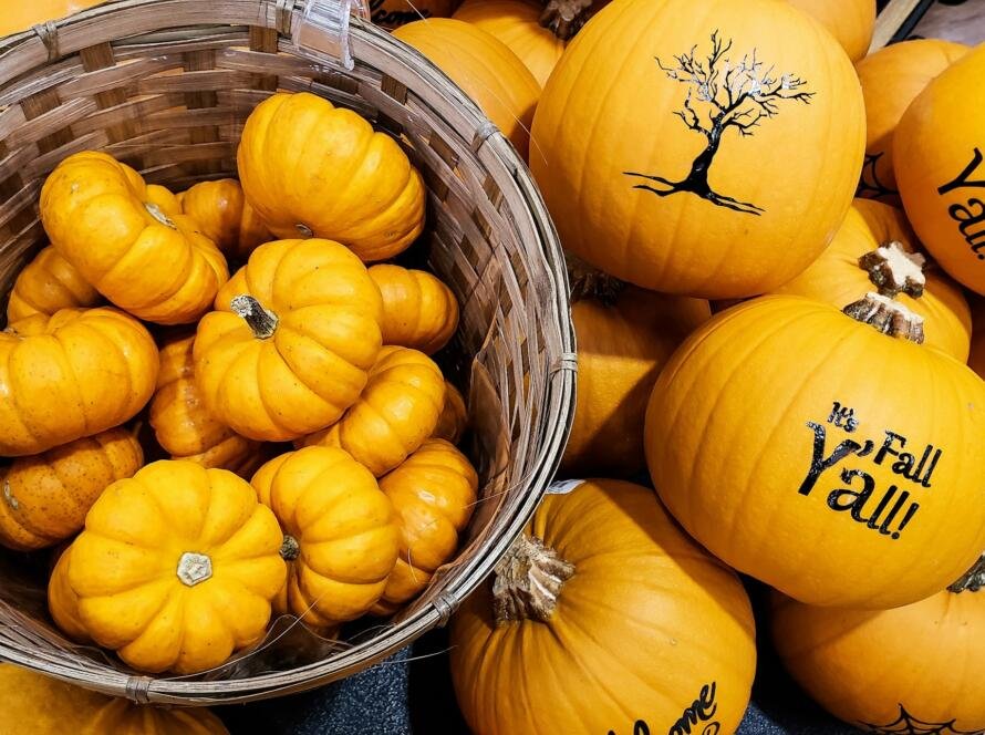 Autumn flat lays featuring baby pumpkins in grocery display of wild words In fall y'all.