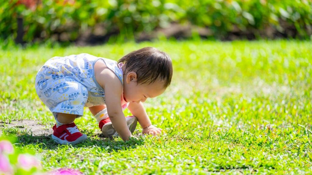 Curious Baby Exploring the Grass Outdoors. A young baby in a playful romper and red shoes.