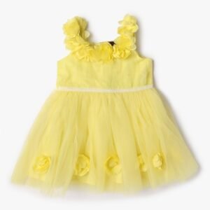 INF FRENDZ Floral Applique Fit & Flare Dress