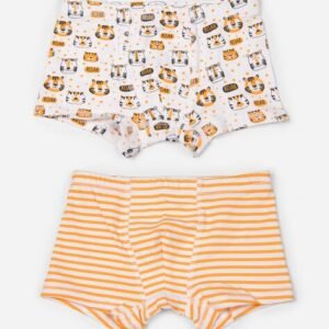 Keebee Organics Pack of 2 Printed Boxer Briefs