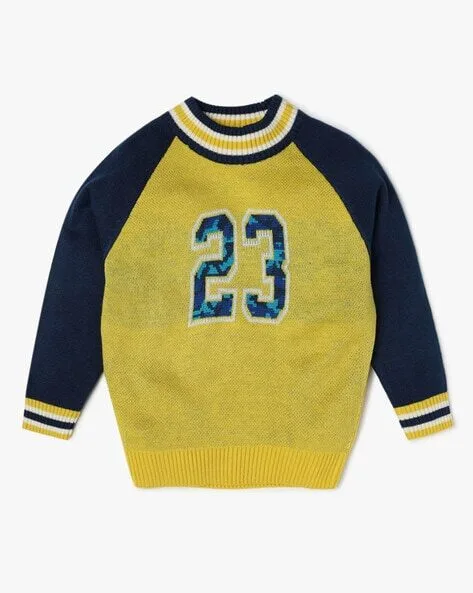 Yousta - Boys Coloublock Regular Fit Sweater